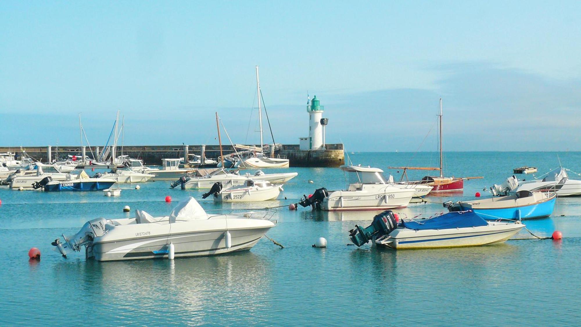 Le Phare Du Bout Du Monde - Logement Proche Du Port 拉弗洛特 外观 照片